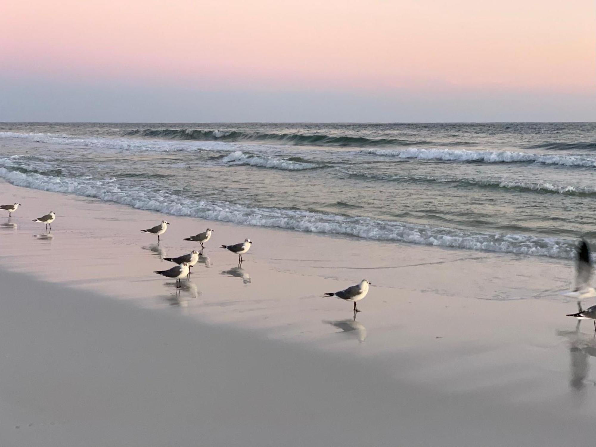 Nautilus 2408 Gulf View 2 Bedroom 4Th Floor Free Beach Service Fort Walton Beach Exterior photo