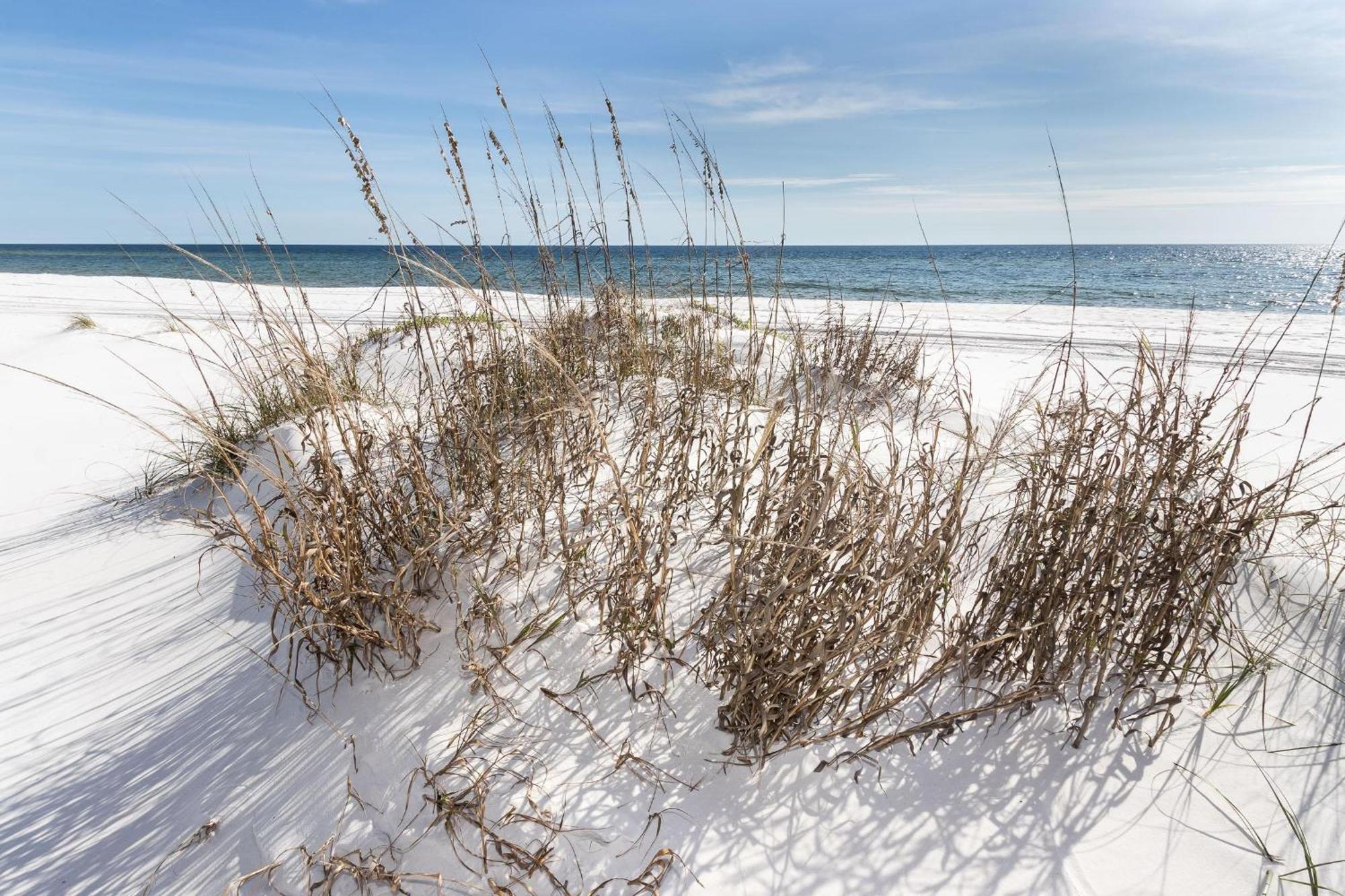 Nautilus 2408 Gulf View 2 Bedroom 4Th Floor Free Beach Service Fort Walton Beach Exterior photo